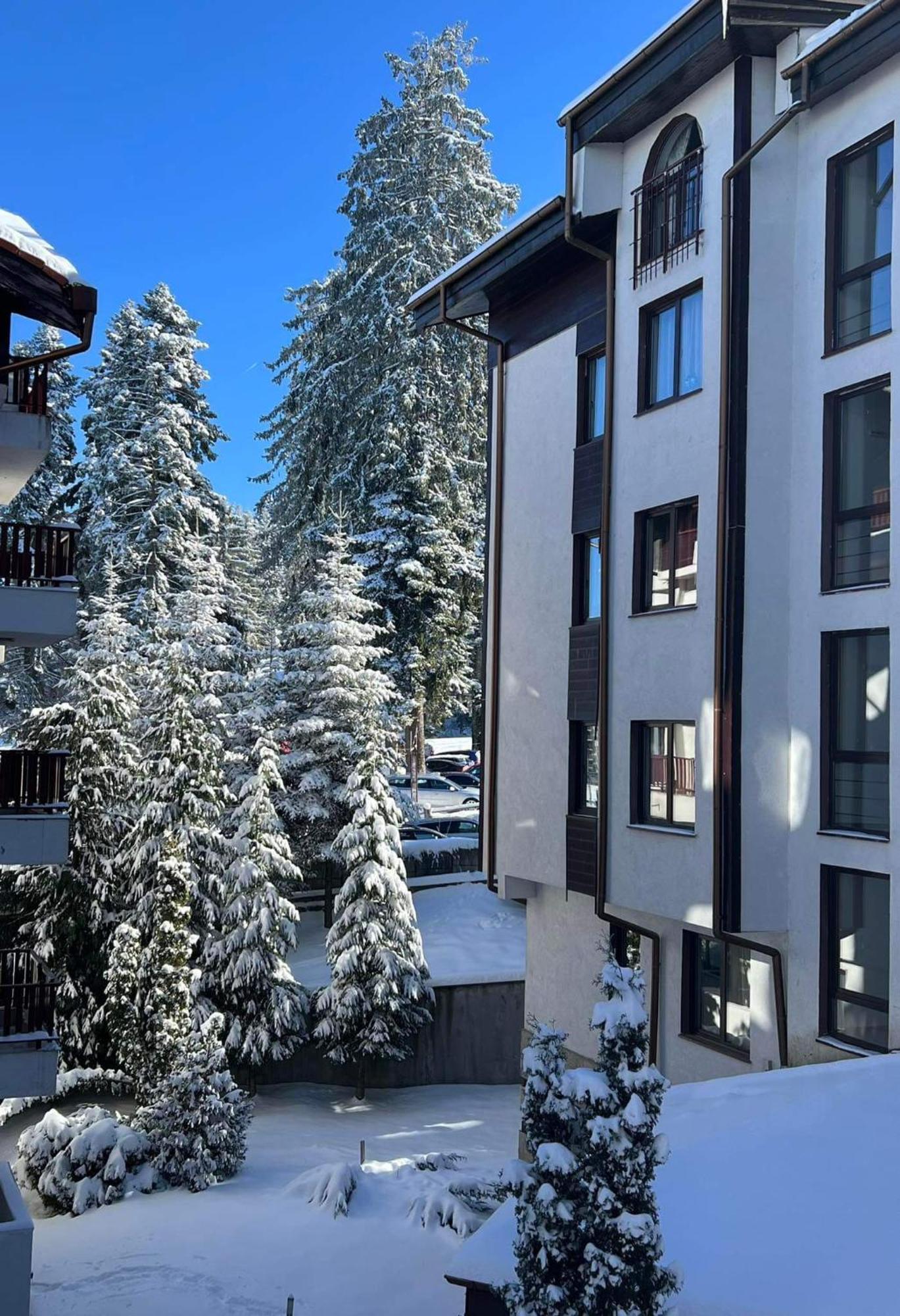 Arboro Flora Residence Studio Borovets Exterior foto